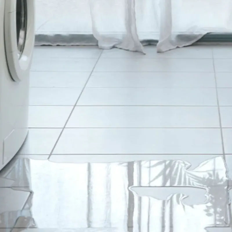 Appliance Leak Cleanup in Clark County, KS