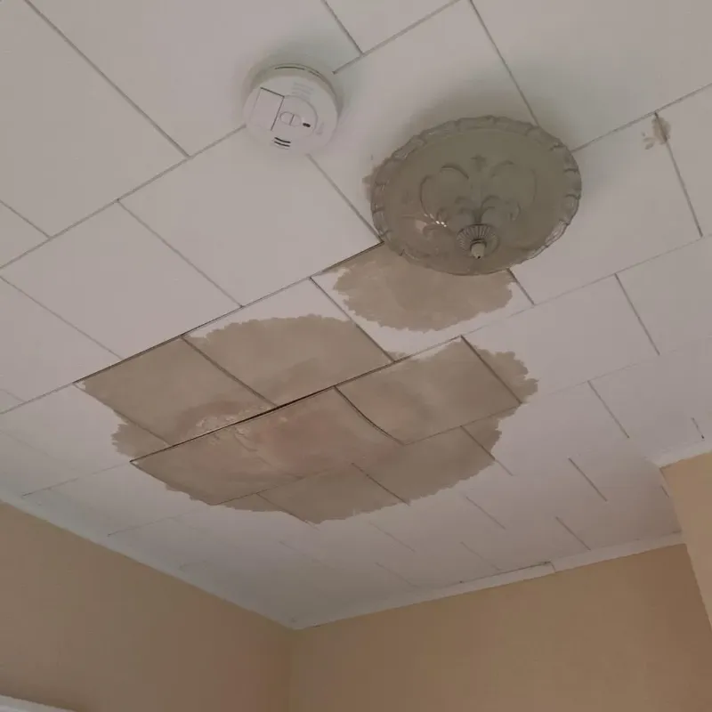 Ceiling Water Damage Repair in Clark County, KS