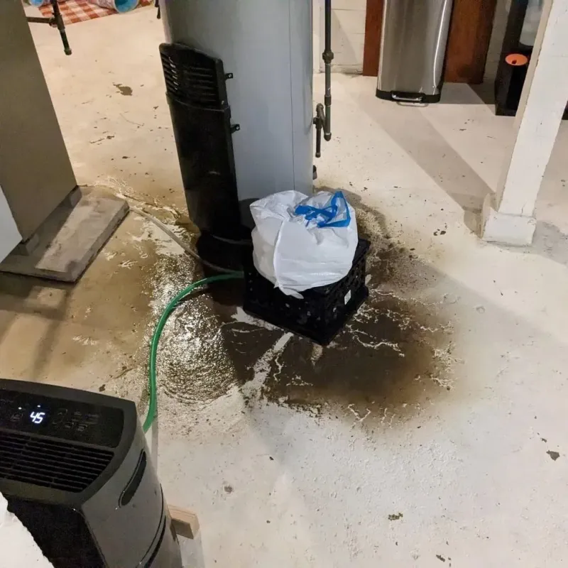 Sewage Backup Cleanup Service in Clark County, KS
